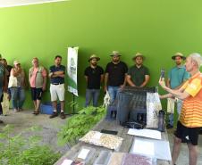 Foto de ação educativa do Um dia no Viveiro