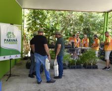 Foto de ação educativa do Um dia no Viveiro