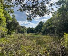 Pesquisa da Unicentro mapeia mamíferos silvestres em Unidades de Conservação