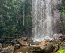 Pesquisa da Unicentro mapeia mamíferos silvestres em Unidades de Conservação