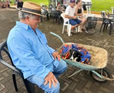 Com destaque para RMC, CastraPet vai beneficiar cães e gatos de 42 cidades em fevereiro