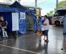 Com destaque para RMC, CastraPet vai beneficiar cães e gatos de 42 cidades em fevereiro