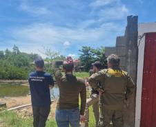 IAT cria novo canal para denúncias de crimes ambientais no Paraná