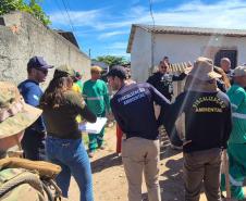 IAT cria novo canal para denúncias de crimes ambientais no Paraná