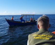 IAT cria novo canal para denúncias de crimes ambientais no Paraná