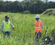 Foto de animais recolhidos no monitoramento da orla de Pontal