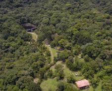 Foto aérea de paisagem natural