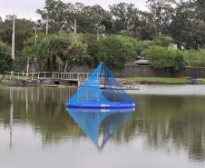 Foto de evento de lançamento de Caravela Ecológica