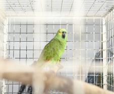 Foto de tratamento no CETRAS Unicentro