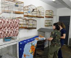 Foto de tratamento no CETRAS Unicentro