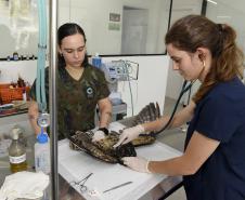 Foto de tratamento no CETRAS Unicentro