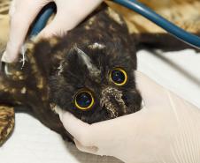 Foto de tratamento no CETRAS Unicentro