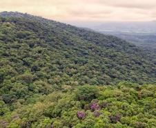 Foto aérea de paisagem natural
