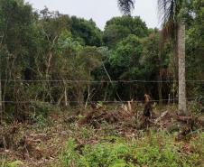 Foto de operação de fiscalização do IAT