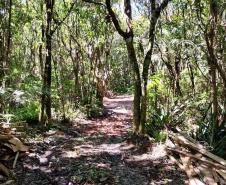 Foto de operação de fiscalização do IAT