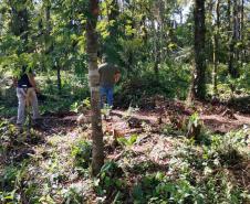 Foto de operação de fiscalização do IAT