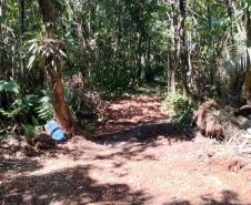 Foto de operação de fiscalização do IAT