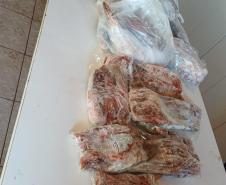 Foto de operação de fiscalização da Piracema do IAT