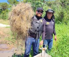 Foto de operação de fiscalização da Piracema do IAT