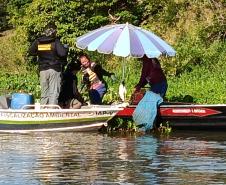 Foto de operação de fiscalização da Piracema do IAT