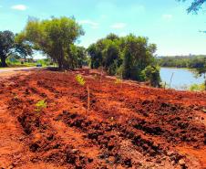 Foto de ação educativa