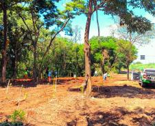 Foto de ação educativa