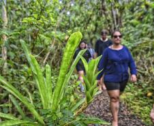 Foto de visitantes no Parque Estadual Rio da Onça