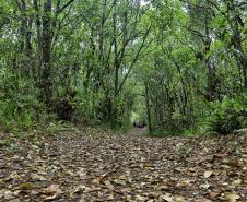 Foto de visitantes no Parque Estadual Rio da Onça