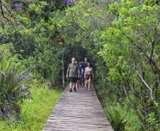 Foto de visitantes no Parque Estadual Rio da Onça
