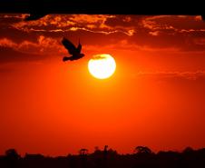 Foto de paisagem no pôr do sol