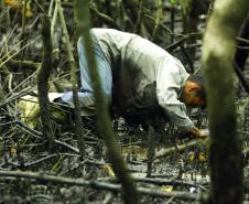 Foto de captura do caranguejo