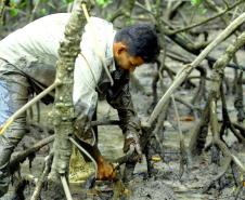 Foto de captura do caranguejo