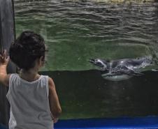 Foto de passeio no Paraná