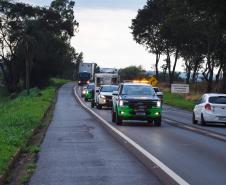 Foto de soltura de pacas e cotias
