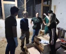 Foto de soltura de pacas e cotias