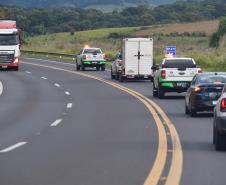 Foto de soltura de pacas e cotias