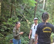 Foto de ação de fiscalização do Pico Paraná