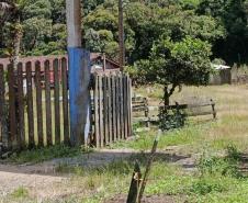 Foto de ação de fiscalização do Pico Paraná