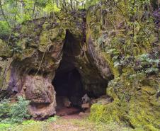 Foto de passeio no Paraná