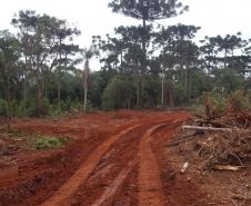 Foto de paisagem no Paraná