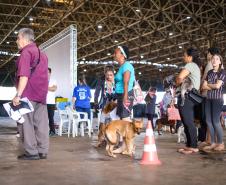 Foto de evento de castração do Castrapet