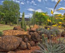 Foto de parque estadual do Paraná