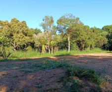 Foto de operação de fiscalização do IAT