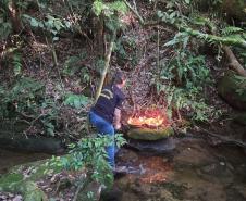 Foto de operação de fiscalização do IAT