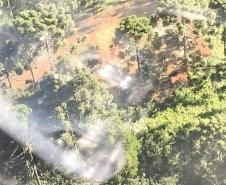 Foto de operação de fiscalização do IAT