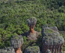 Foto de parque estadual do Paraná