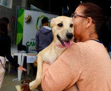 Foto de cachorros sendo vacinados