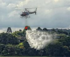 Foto de treinamento do COA-IAT