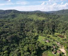 Foto de área de nova UC do Paraná