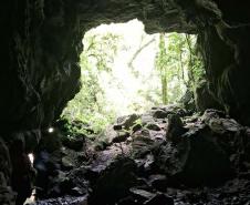 Foto de área de nova UC do Paraná